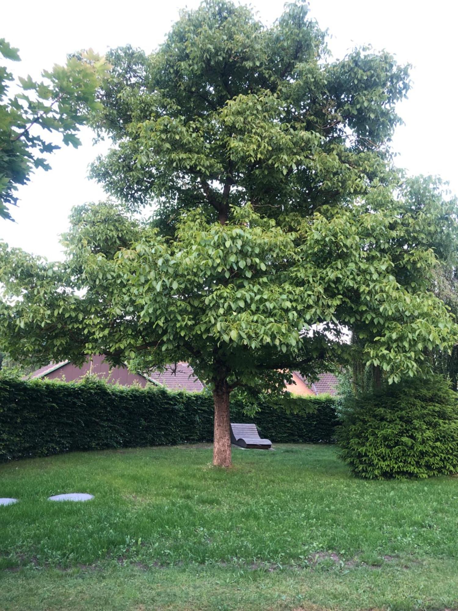 Auszeitwohnung Lage  外观 照片
